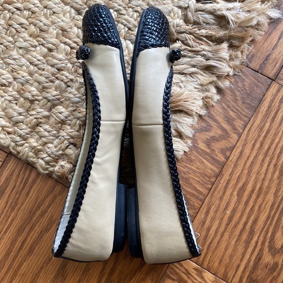 Tahari flats - Picture 5 of 6